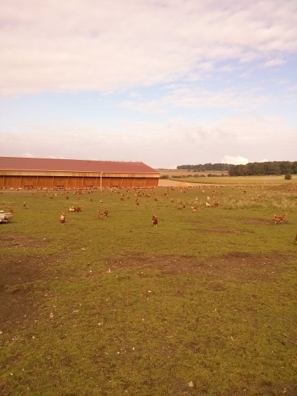 Ferme Claure Crochet au Plessis