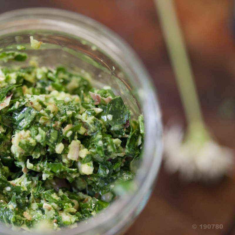 Pesto à l'ail des ours