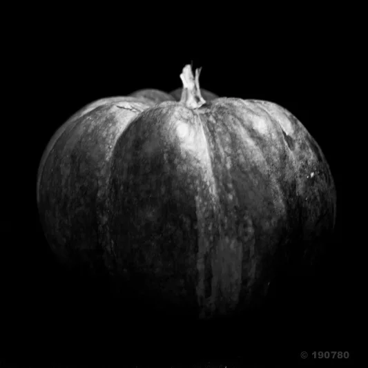 Courge muscée grillée au four